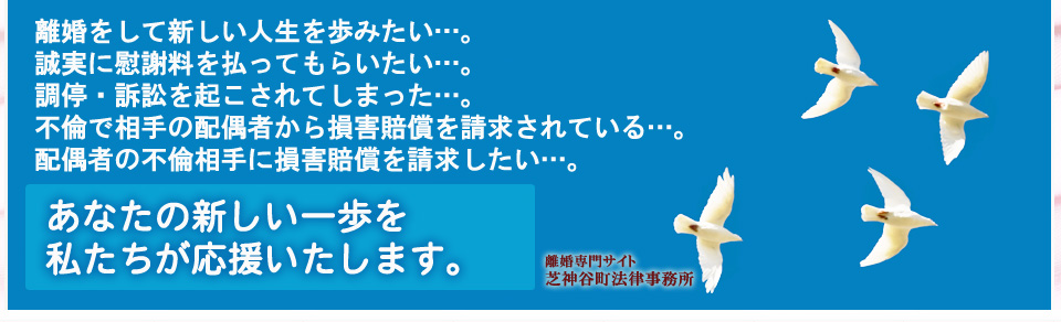 離婚の慰謝料・養育費の弁護士