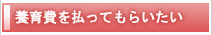 離婚して養育費を払ってもらいたい